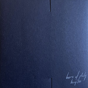 画像2: Little Skull [7" + handmade & written fold-over sleeve]