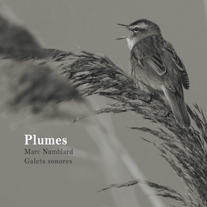 画像1: Marc Namblard "Plumes" [CD]