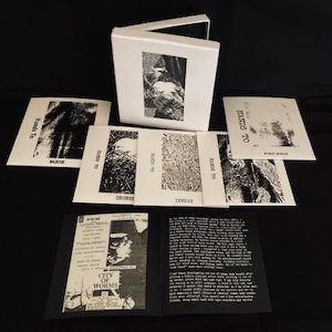 画像2: Hands To "Bio Electric" [5CD Box]