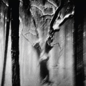 画像1: Bruno Duplant "paysages sans age III" [CD]