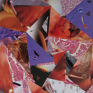 画像1: Fallen Sun / Sacher Pelz / Thomas Bey William Bailey "Acousmatomisation" [CD]