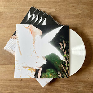 画像2: Elisabeth Klinck "Chronotopia" [White LP]