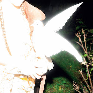 画像1: Elisabeth Klinck "Chronotopia" [White LP]