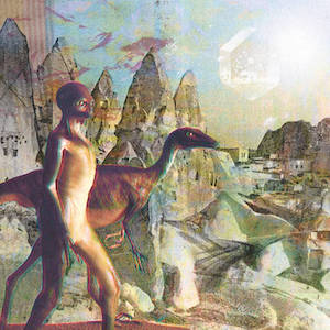 画像1: Timelash "Feral Lands & Forbidden Cities" [LP]