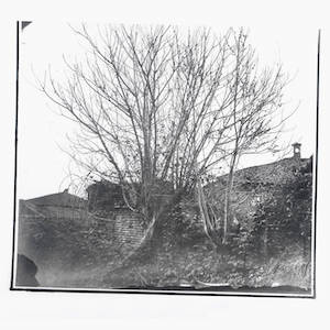 画像1: Siavash Amini "Caligo" [CD]