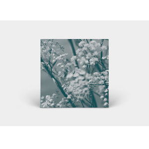 画像2: Theresa Wong "Journey to the Cave of Guanyin" [CD]