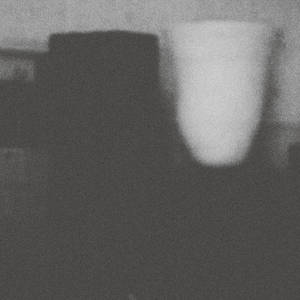 画像1: Merzbow "The Prosperity Of Vice, The Misfortune Of Virtue" [CD]