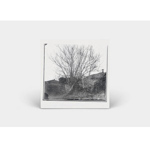 画像2: Siavash Amini "Caligo" [CD]