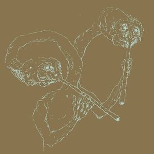 画像1: Bloedneus & de Snuitkever "MILLI MILLE" [LP]