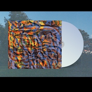 画像2: Ailbhe Nic Oireachtaigh "Lux Gratis" [CD]