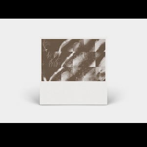 画像2: Peter Knight "For a Moment the Sky Knew My Name" [CD]