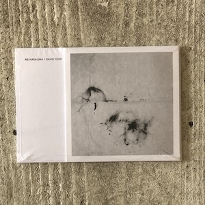 画像1: Rie Nakajima + David Toop "Is Spring A Sculpture?" [CD + Book]