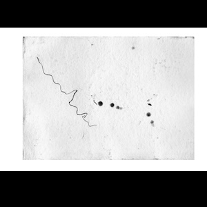 画像3: Rie Nakajima + David Toop "Is Spring A Sculpture?" [CD + Book]