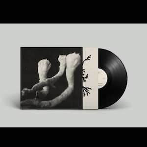 画像2: Lauten der Seele "Unterhaltungen mit Larven und Uberresten" [LP]