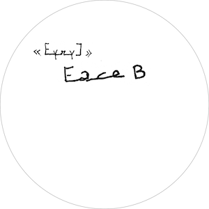 画像4: Anne Gillis "Eyry]" [LP]