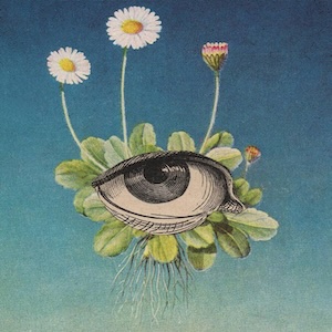 画像1: ojeRum "The Limited Circle Is Pure" [CD]