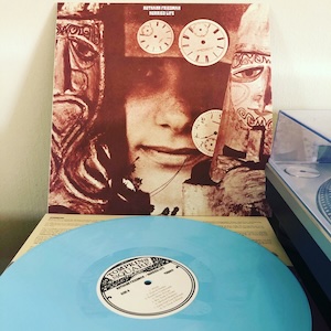 画像2: Ruthann Friedman "Hurried Life : Lost Recordings 1965-1971" [Blue LP]