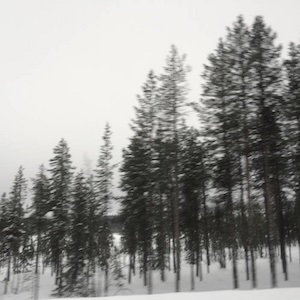 画像1: Lowered "Arche (For Singing Bowls)" [CD]