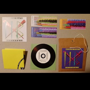 画像3: Maurizio Bianchi "Organemia" [CD-R]