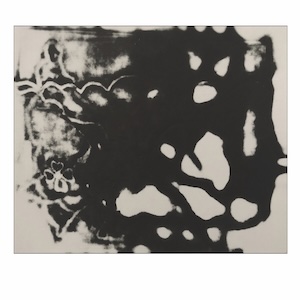 画像1: Margarida Garcia, Manuel Mota "The Figure in the Carpet" [CD]