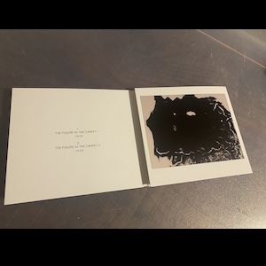 画像2: Margarida Garcia, Manuel Mota "The Figure in the Carpet" [CD]