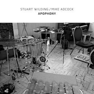 画像1: Stuart Wilding / Mike Adcock "Apophony" [CD]
