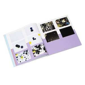 画像4: Bernd Herzogenrath - Featuring: Francisco Lopez, Eisuke Yanagisawa, David Rothenberg, Lawrence English, Reinhold Friedl,Thomas Köner, Sergio Armaroli,  "(c)ovid's metamorphoses" [7CD + 2DVD Boxset + 200 pages Book]