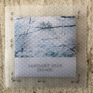 画像2: Maurizio Bianchi "January 2016" [Mini CD-R]