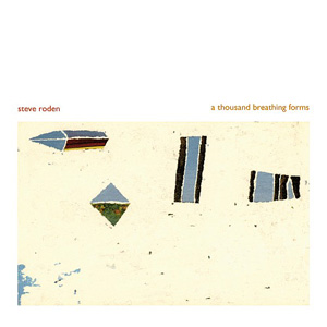 画像1: Steve Roden "A thousand breathing forms" [6CD]