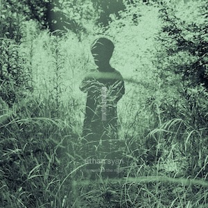 画像3: Ethan Syann "Farewell To The Night" [Ultra clear LP]