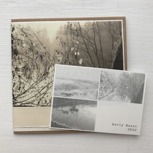 画像2: Delphine Dora "A l'abri du monde" [CD-R]