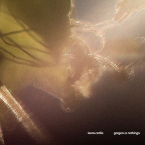 画像1: Laura Cetilia "gorgeous nothings" [CD]