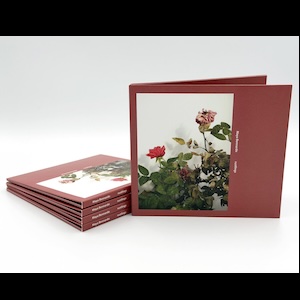 画像2: Maya Bennardo "rustlings" [CD]