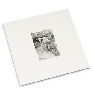 画像1: Patrick Lysaght "For the Birds" [LP]