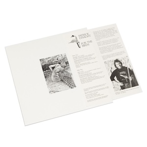 画像2: Patrick Lysaght "For the Birds" [LP]
