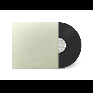 画像2: ERELL LATIMIER "Stay Still" [LP]