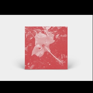 画像2: Celer "Poulaine" [CD]