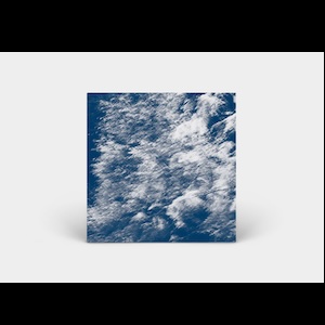 画像2: Gabriella Smart "Parasymbiosis" [CD]
