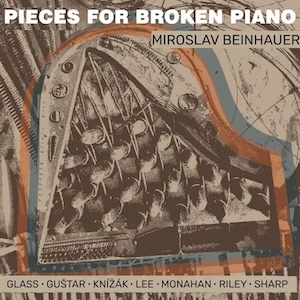 画像1: Miroslav Beinhauer performing Terry Riley, Philip Glass, Milan Knízak, Gordon Monahan... "Pieces for Broken Piano" [CD]