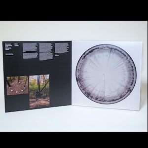 画像2: Brian House "Everyday Infrasound In An Uncertain World" [LP]