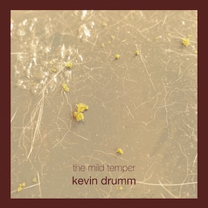 画像1: Kevin Drumm "The Mild Temper" [6CD boxset]