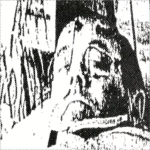 画像4: Delta-Sleep-Inducing Peptide "L-Tryptophan / Somnosections / Pre-Natal" [3CD Box]