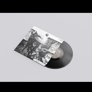 画像2: The Space Lady "The Space Lady's Greatest Hits" [LP]