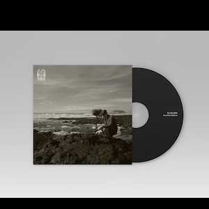 画像2: BJNilsen "True than Nature" [CD]