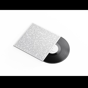 画像2: Ben Vida "Oblivion Seekers" [LP]