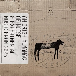 画像1: V.A "An Irish Almanac of Noise and Experimental Music From 2025" [2CD]