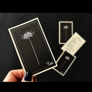 画像5: Lemna "Storytelling #3: Dreamscape Fragments" [Handcrafted Cassette & Special Booklet]