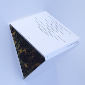 画像3: Thomas Tilly "Codex Amphibia (Phonotaxis) [CD + Booklet 24 pages + Leporello 5 pages]