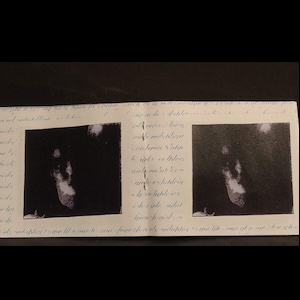 画像2: Vertonen "Reduplicate Me Like One Of Your French Girls" [CD-R + Booklet]