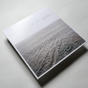 画像2: Andrea Borghi "Palsecam" [LP]